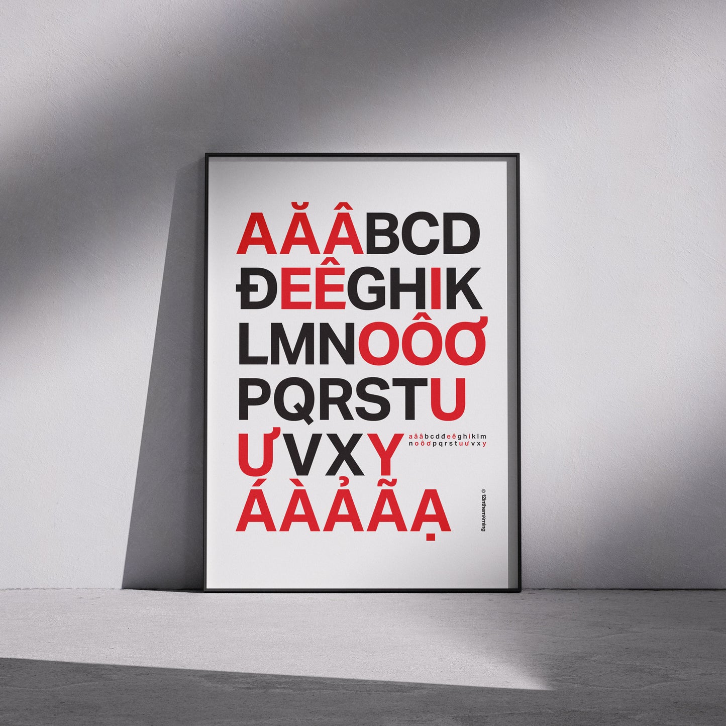 Vietnamese Alphabet - Poster